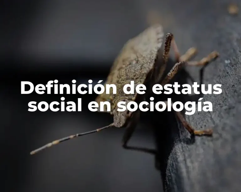 Definición de estatus social en sociología