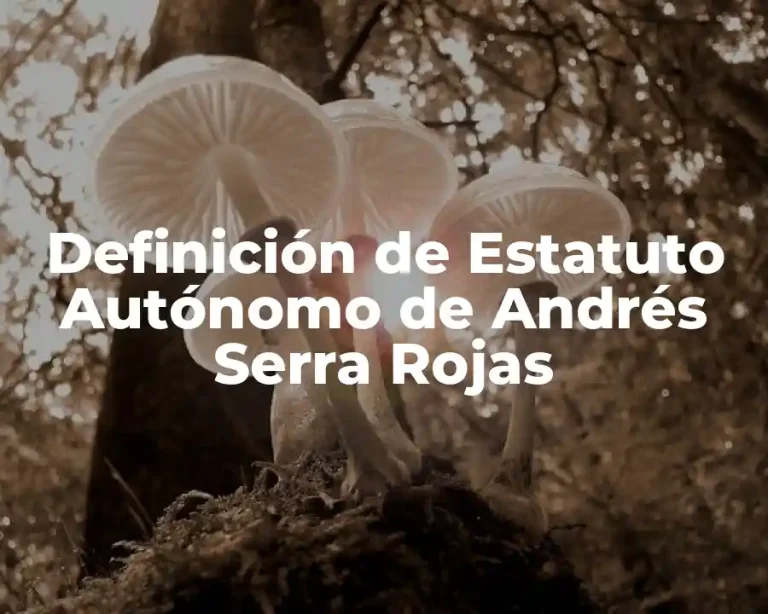 Definición de Estatuto Autónomo de Andrés Serra Rojas