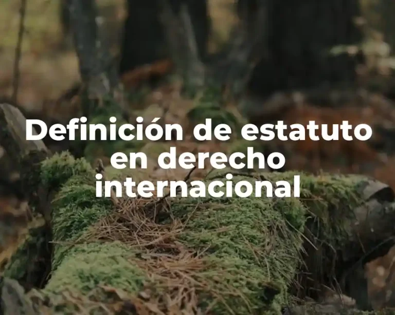 Definición de estatuto en derecho internacional