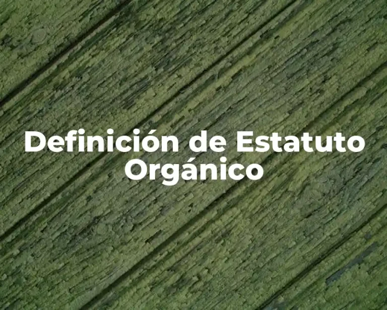 Definición de Estatuto Orgánico