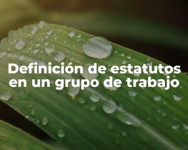 Definición de estatutos en un grupo de trabajo