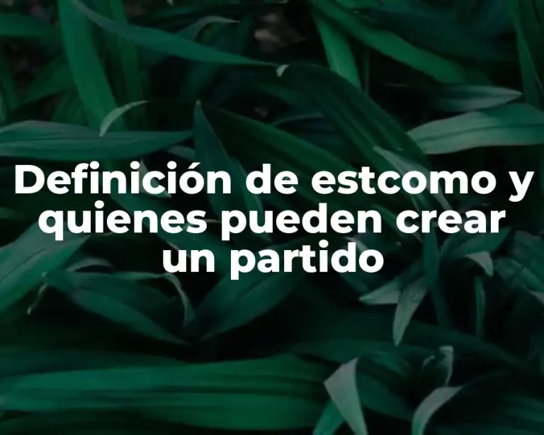 Definición de estcomo y quienes pueden crear un partido