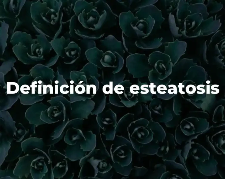 Definición de esteatosis