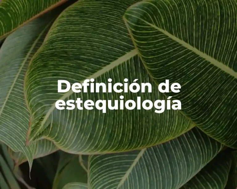 Definición de estequiología