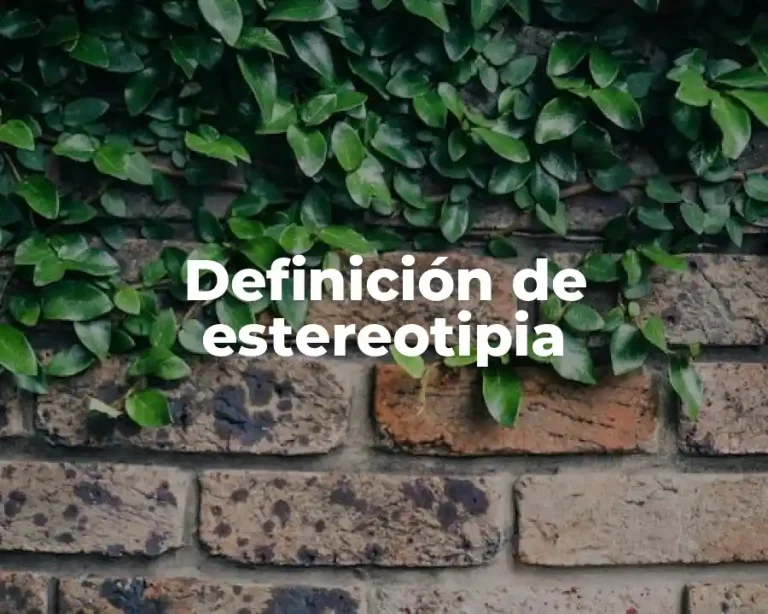 Definición de estereotipia