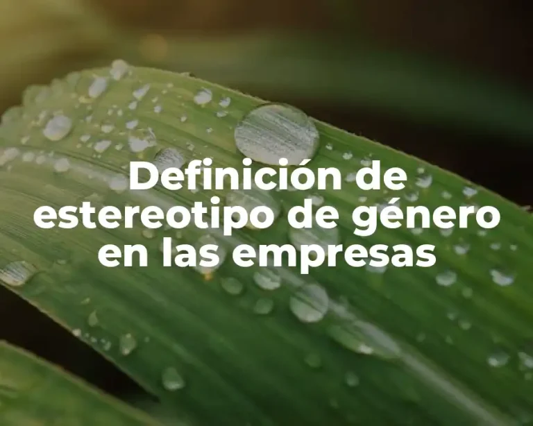 Definición de estereotipo de género en las empresas