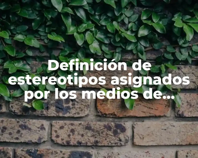Definición de estereotipos asignados por los medios de comunicación
