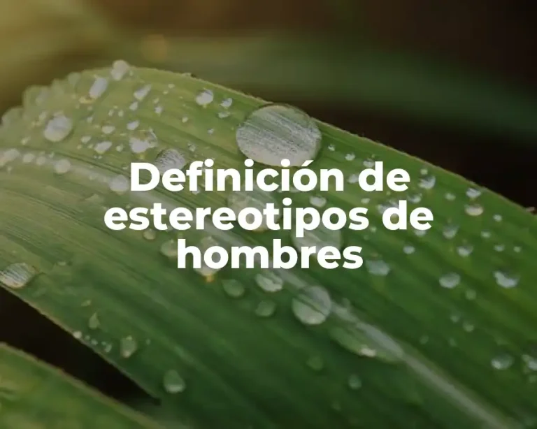 Definición de estereotipos de hombres