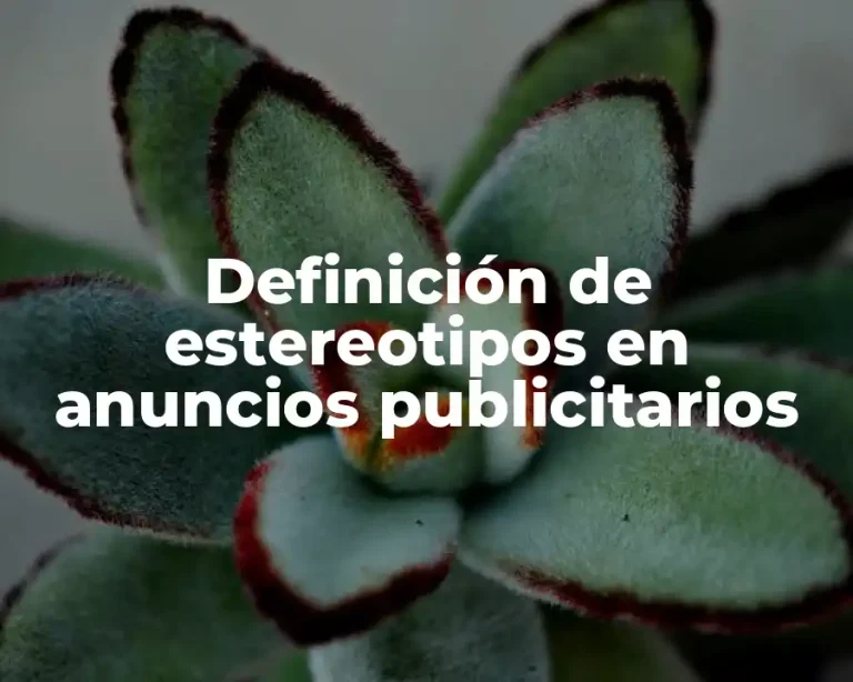 Definición de estereotipos en anuncios publicitarios