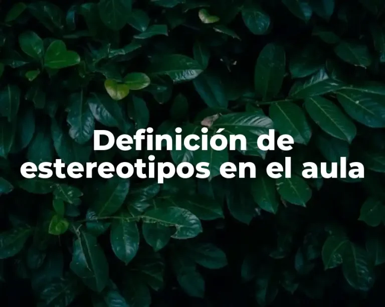 Definición de estereotipos en el aula