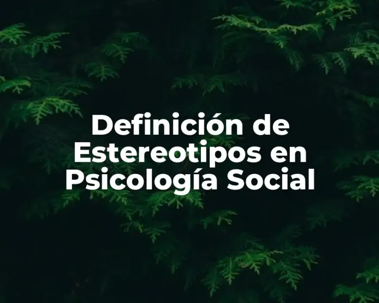 Definición de Estereotipos en Psicología Social