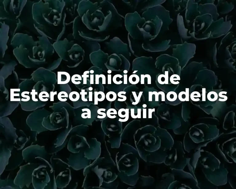 Definición de Estereotipos y modelos a seguir