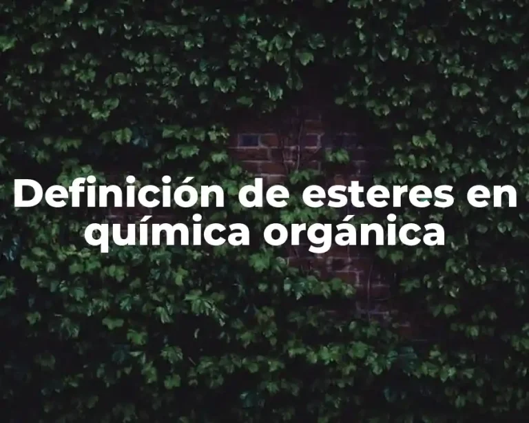 Definición de esteres en química orgánica