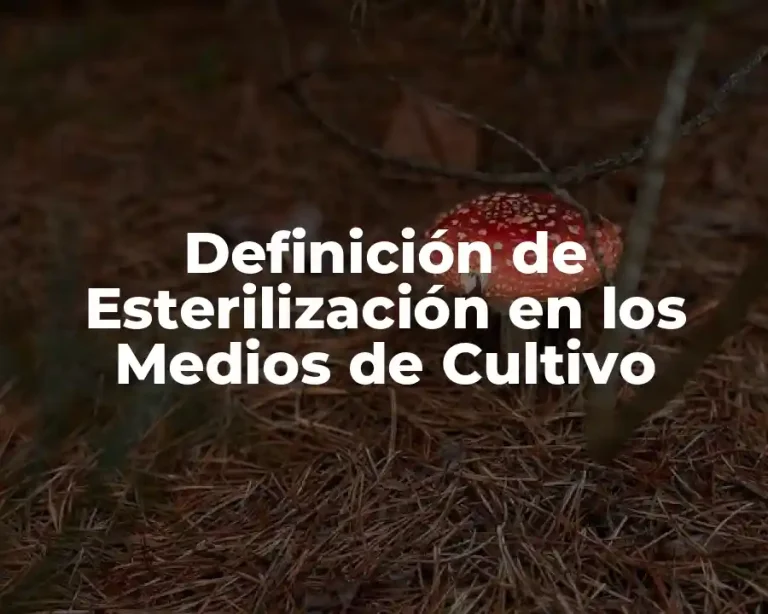 Definición de Esterilización en los Medios de Cultivo
