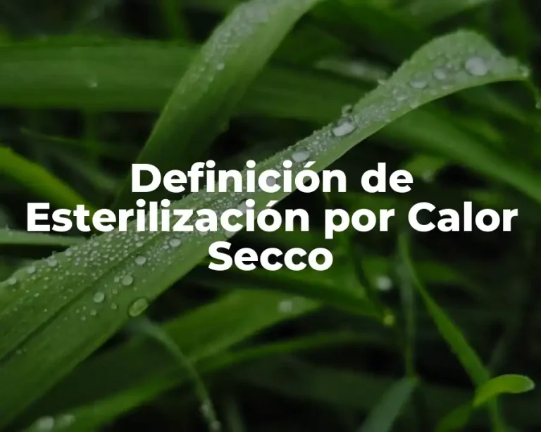 Definición de Esterilización por Calor Secco