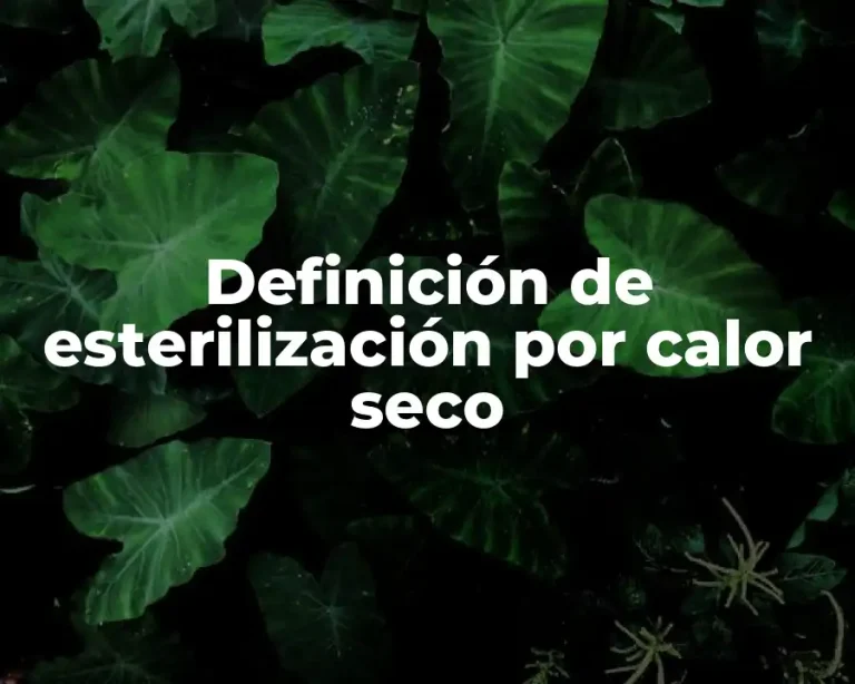 Definición de esterilización por calor seco
