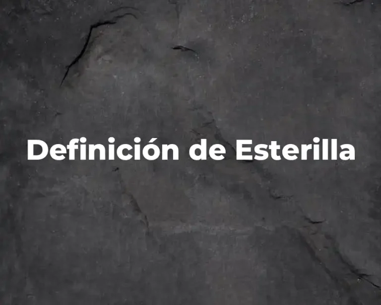 Definición de Esterilla