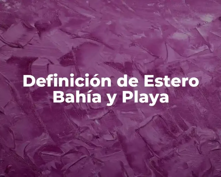Definición de Estero Bahía y Playa