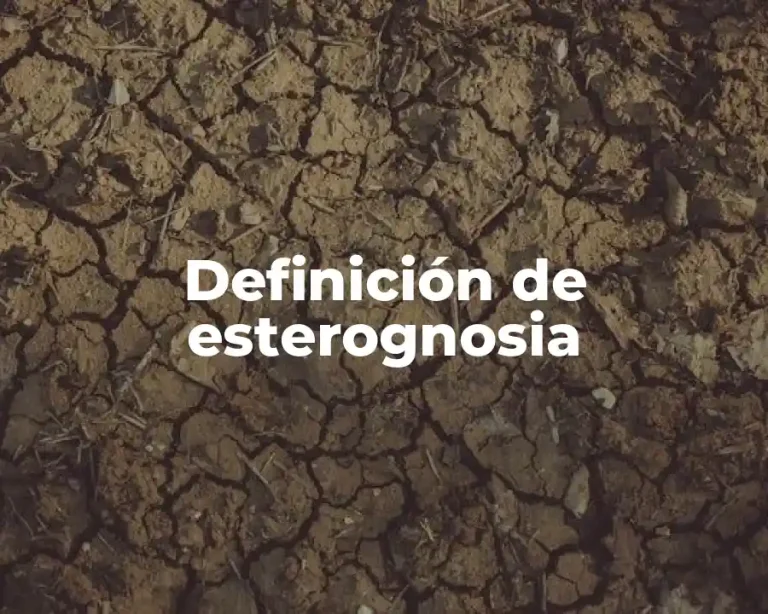 Definición de esterognosia