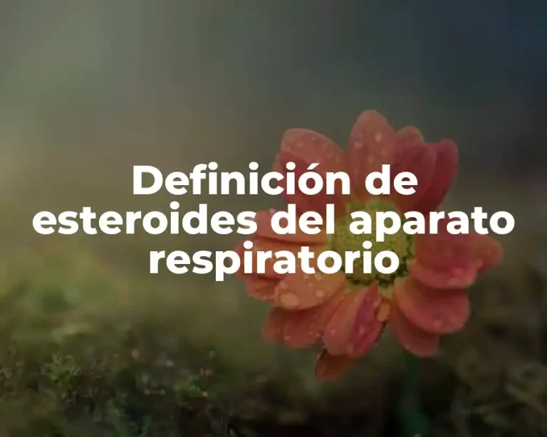 Definición de esteroides del aparato respiratorio