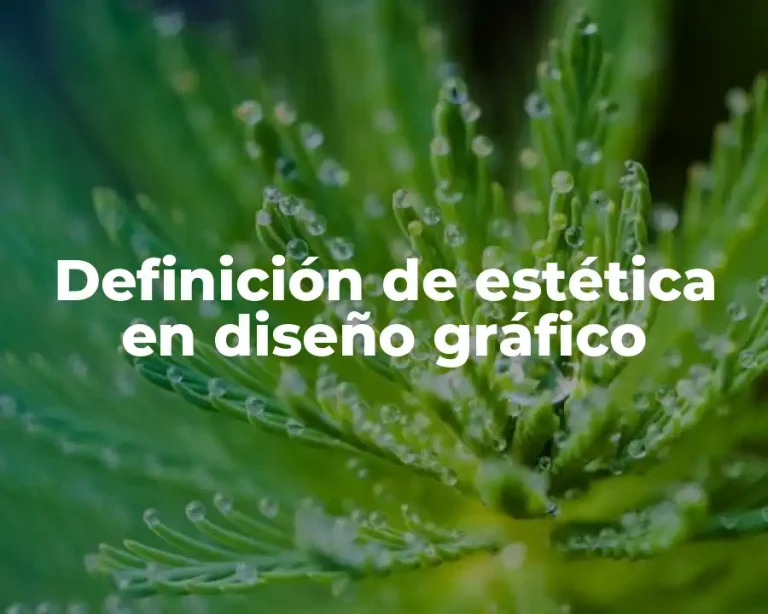 Definición de estética en diseño gráfico