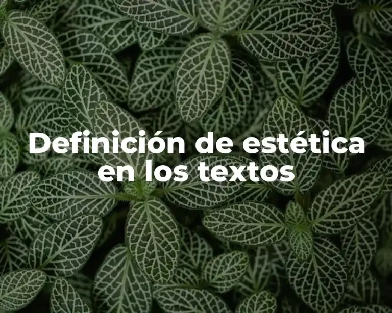 Definición de estética en los textos