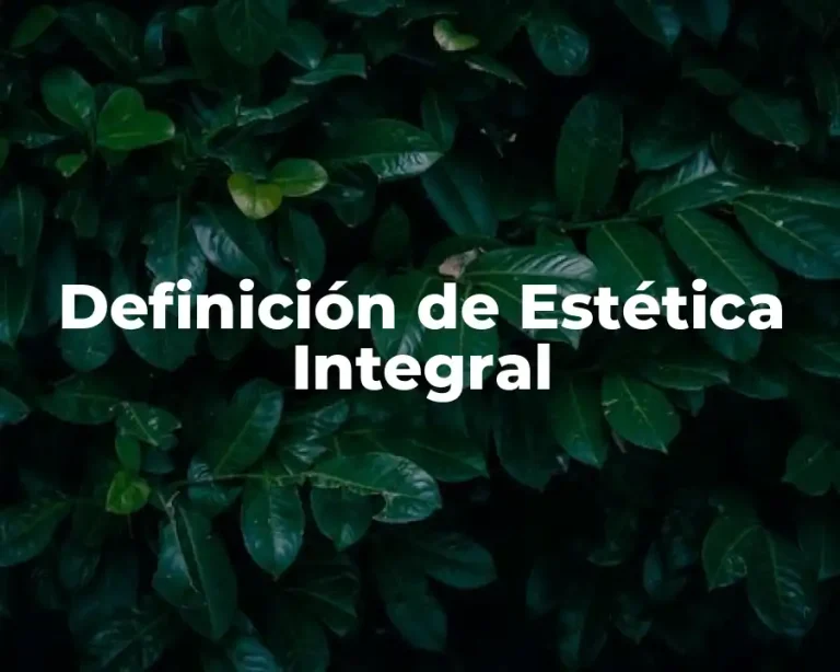 Definición de Estética Integral