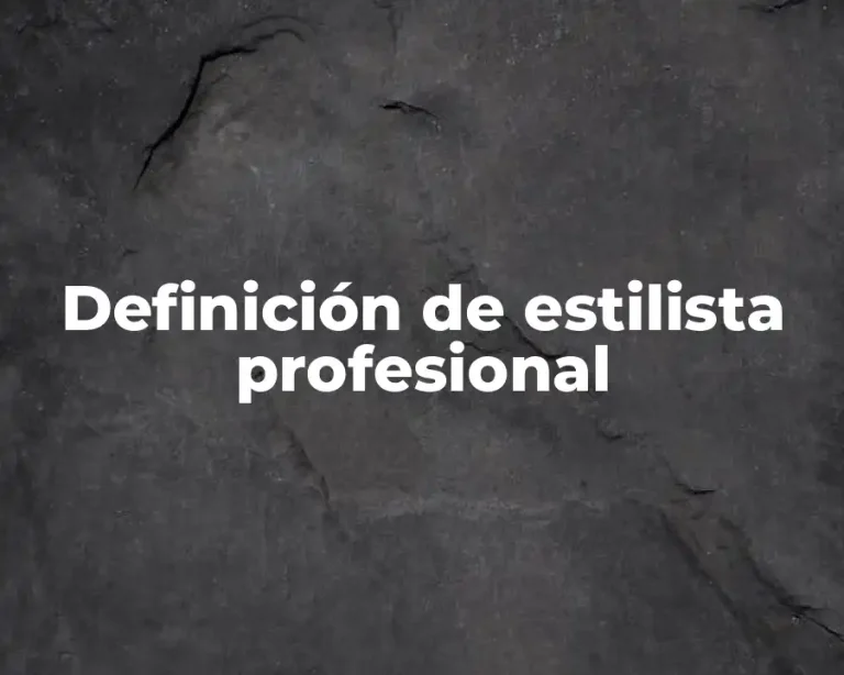 Definición de estilista profesional
