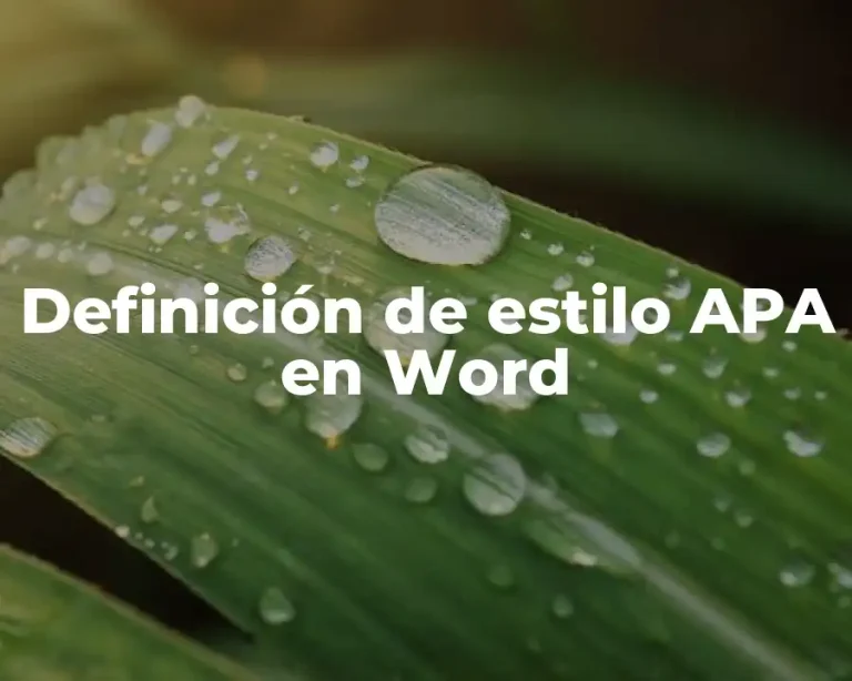 Definición de estilo APA en Word