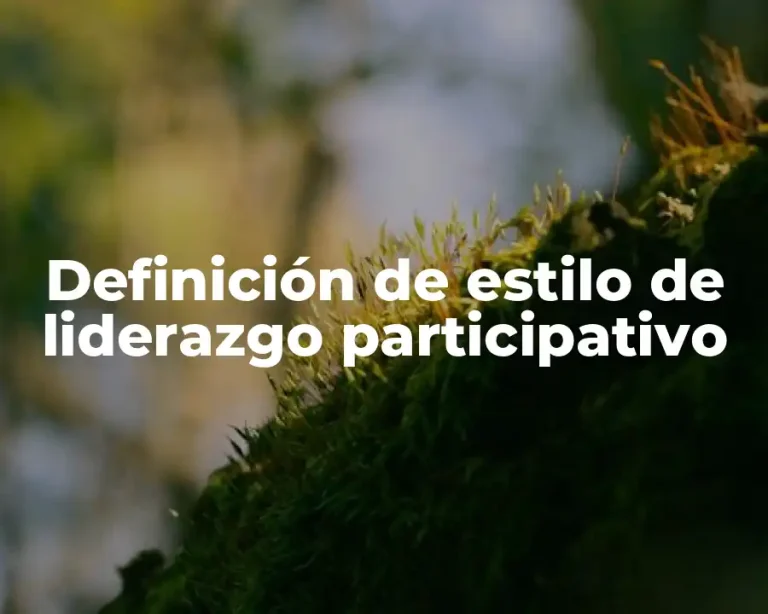 Definición de estilo de liderazgo participativo