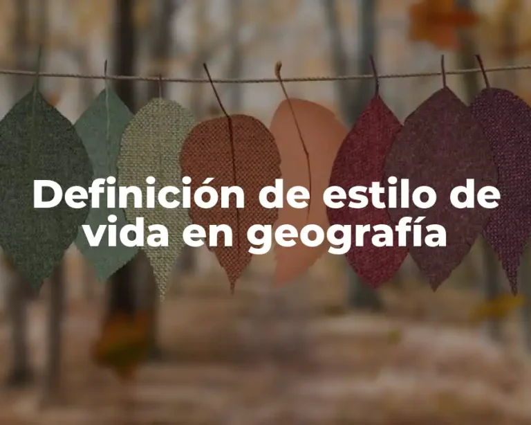 Definición de estilo de vida en geografía
