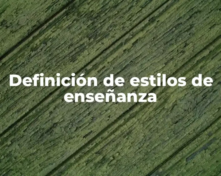 Definición de estilos de enseñanza