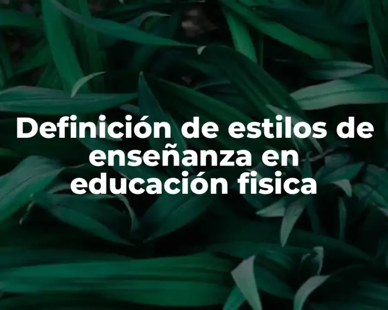 Definición de estilos de enseñanza en educación fisica