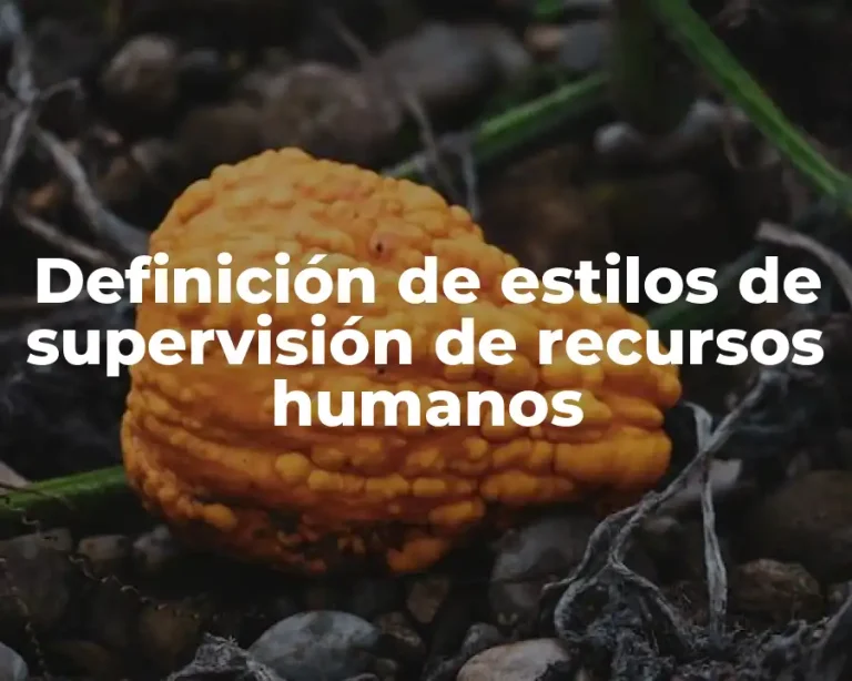 Definición de estilos de supervisión de recursos humanos