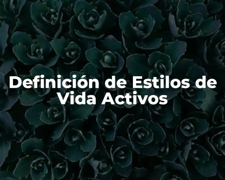 Definición de Estilos de Vida Activos