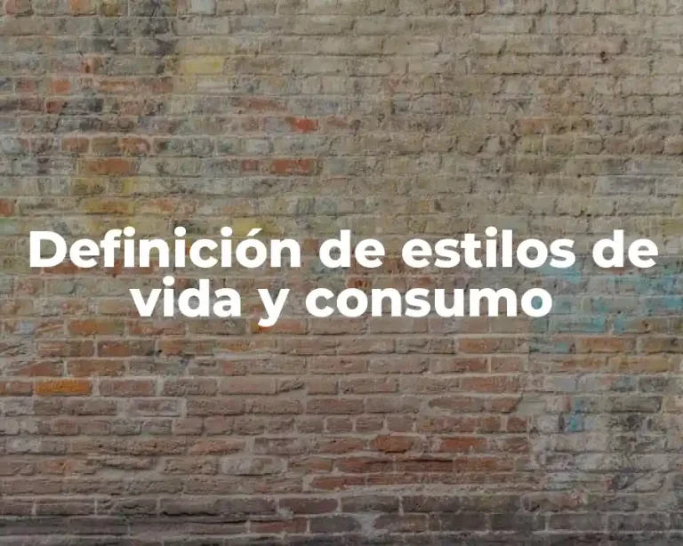 Definición de estilos de vida y consumo