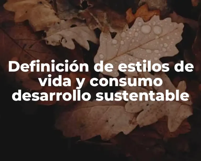 Definición de estilos de vida y consumo desarrollo sustentable