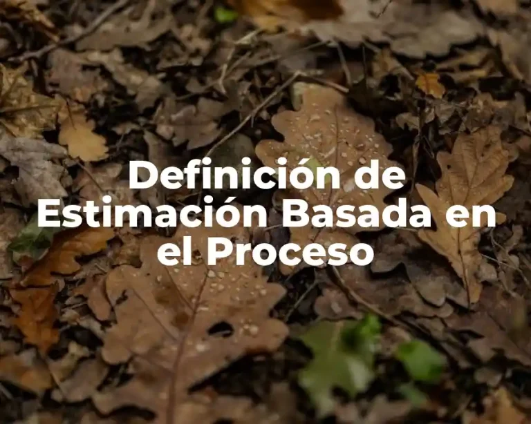 Definición de Estimación Basada en el Proceso