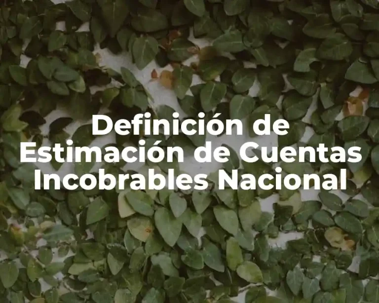 Definición de Estimación de Cuentas Incobrables Nacional