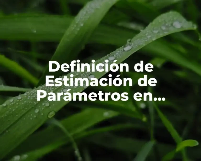 Definición de Estimación de Parámetros en Estadística