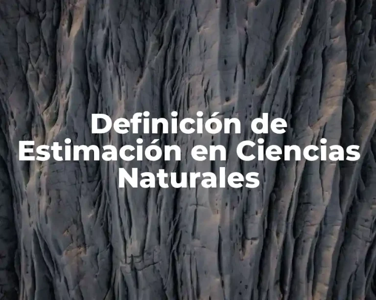 Definición de Estimación en Ciencias Naturales
