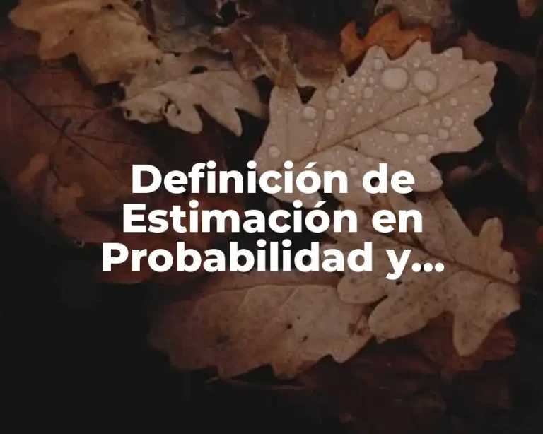 Definición de Estimación en Probabilidad y Estadística