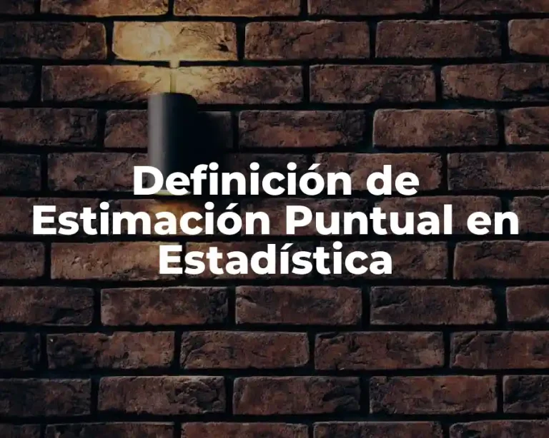 Definición de Estimación Puntual en Estadística