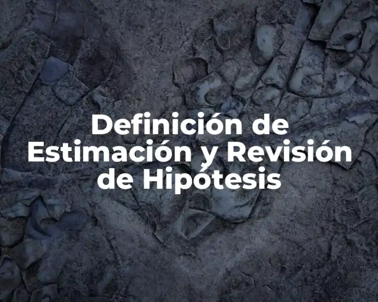 Definición de Estimación y Revisión de Hipótesis
