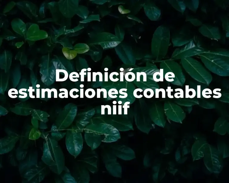 Definición de estimaciones contables niif