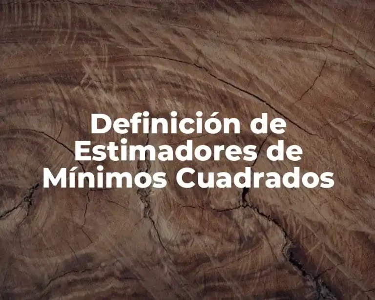 Definición de Estimadores de Mínimos Cuadrados