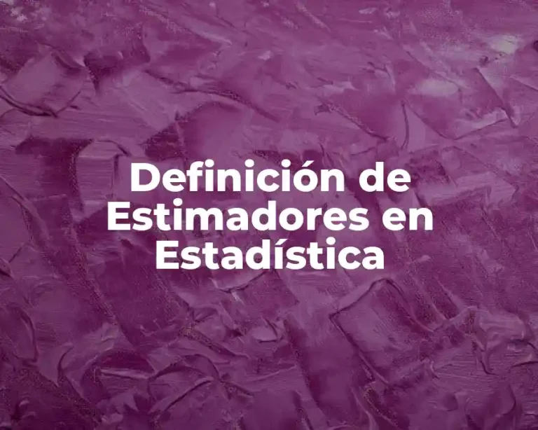 Definición de Estimadores en Estadística