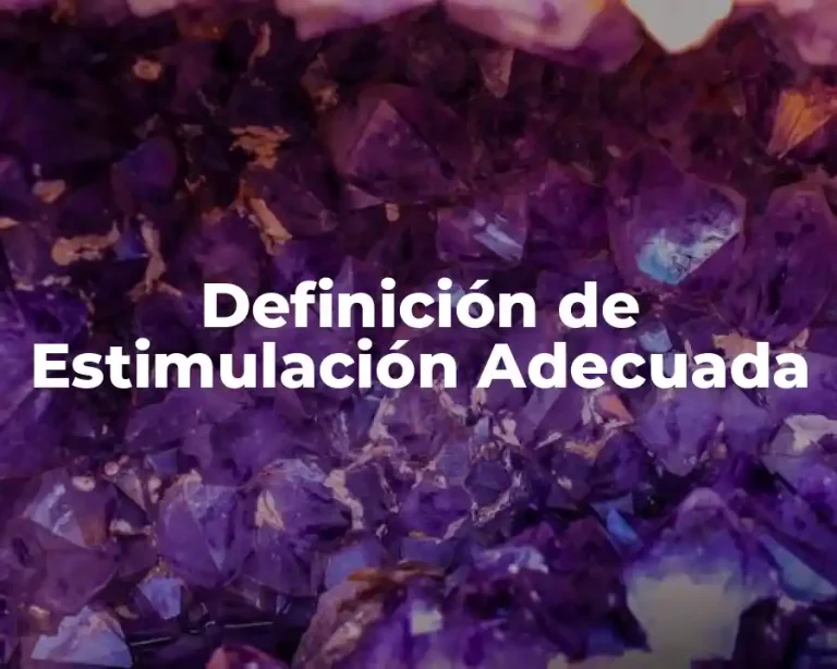 Definición de Estimulación Adecuada