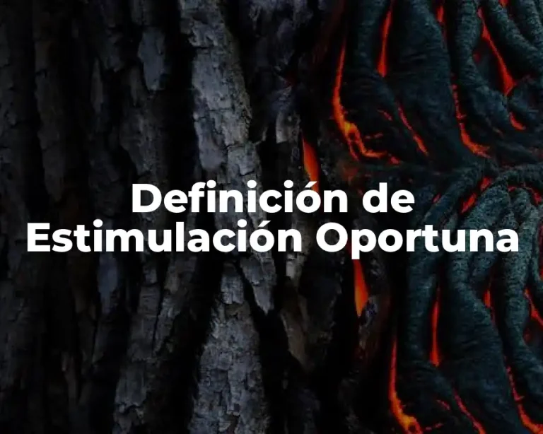 Definición de Estimulación Oportuna