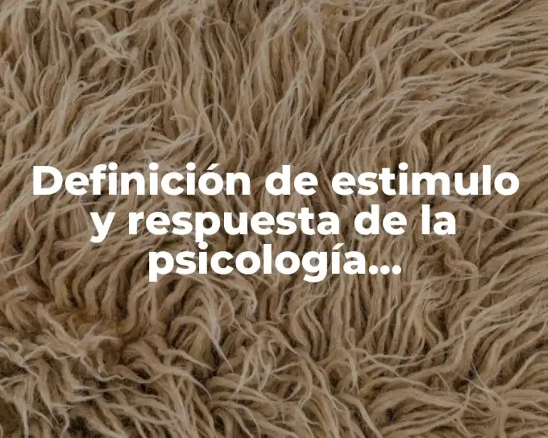 Definición de estimulo y respuesta de la psicología psicodinámica